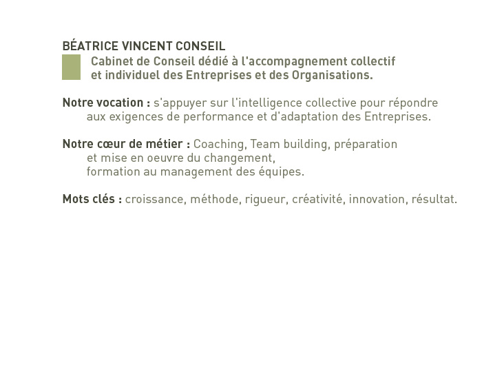 BÉATRICE VINCENT CONSEIL            Cabinet de Conseil dédié à l'accompagnement collectif            et individuel des Entreprises et des Organisations.